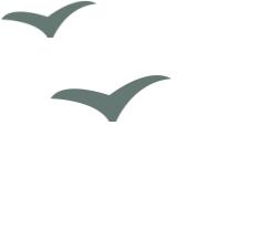 林语堂肤浅者完整版,林语堂没有说过的话