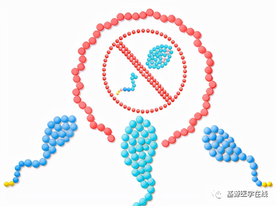 女士避孕方式有几种哪种最好用,女性比较可靠的避孕方式