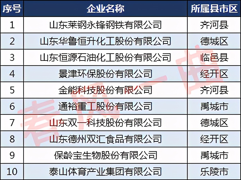 德州12家企业排名,德州10强企业