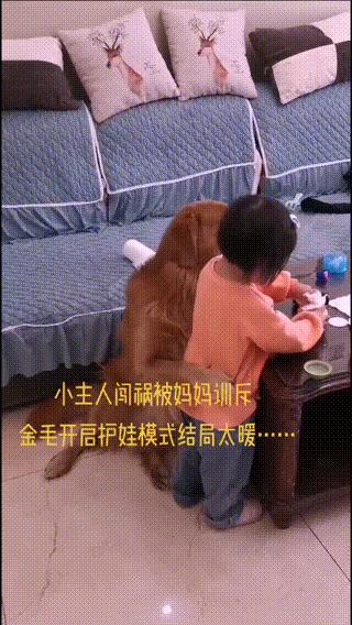 妈妈训孩子狗子护孩子,家长教育孩子对待宠物