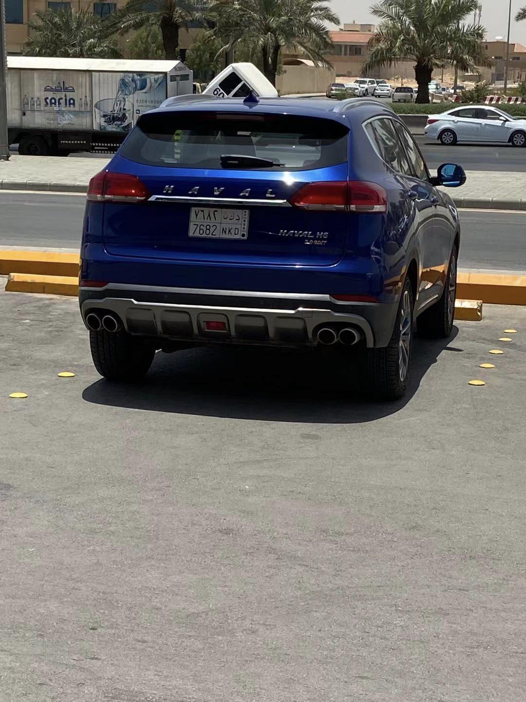 一个海外搬砖人眼里的沙特2-汽车上的国家