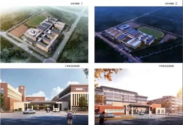 运东,甪直,度假区谁才是热度王者?