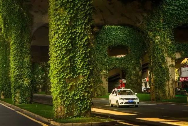 成都二环绿化,成都二环绿植视频