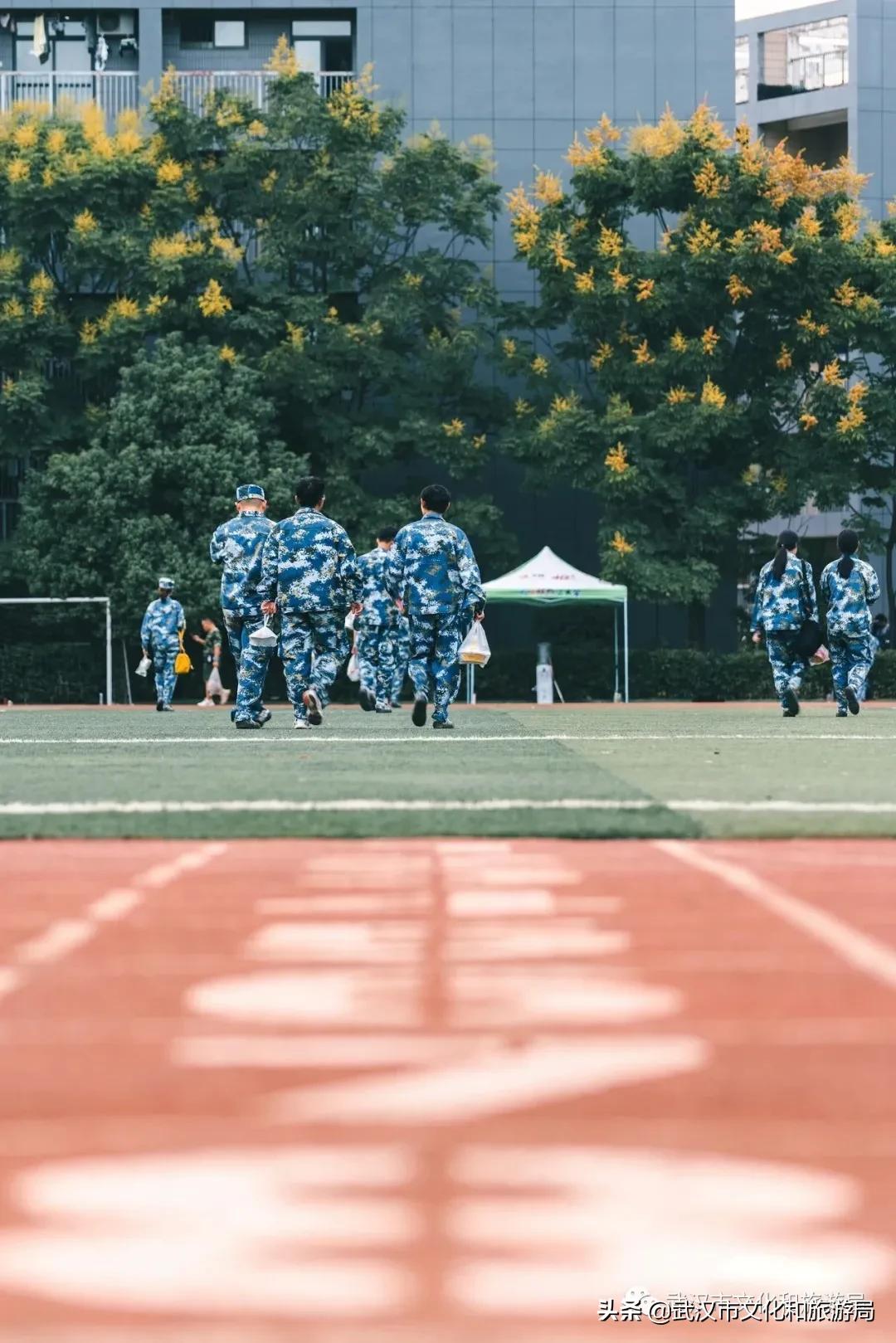 江夏面积多大,关于最美江夏的图片