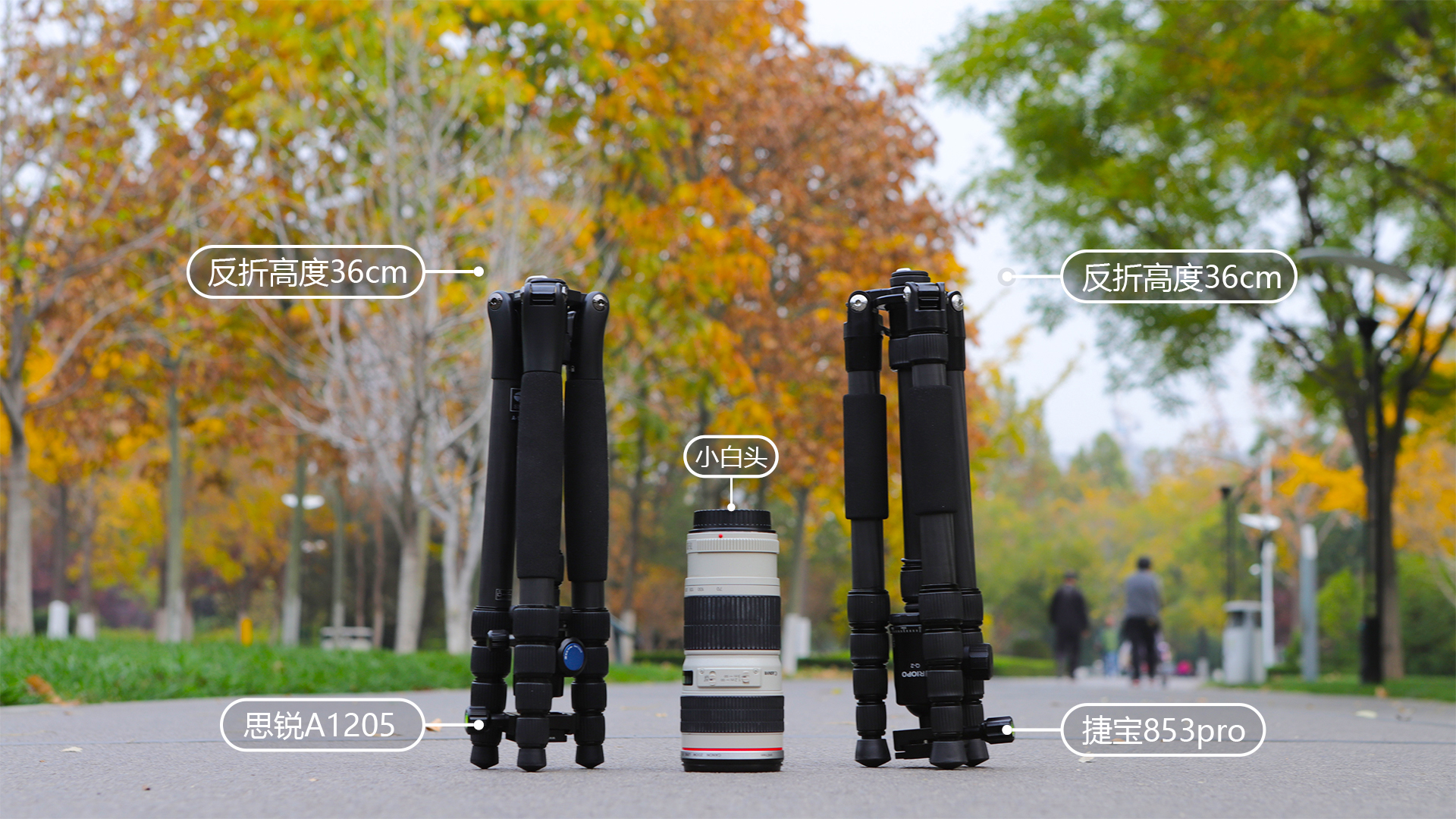 如何选择思锐三脚架,思锐碳纤维迷你三脚架测评
