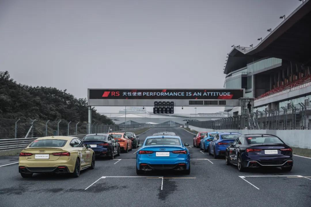 这才是真正的人生赢家,这才是真正的人参枸杞茶