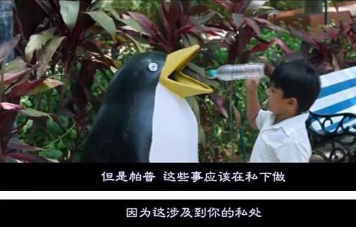 最好的教育片推荐,最好的性教育动画片