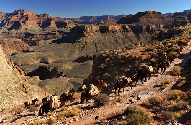 茶马古道为什么在古代那么重要,茶马古道对民族发展带来了什么