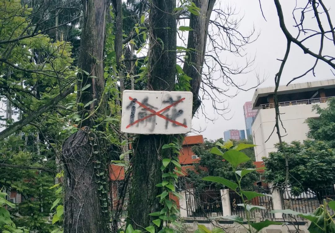 福州街头手写文字图片,街头手写文字