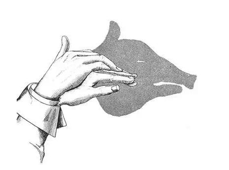 宝宝睡前玩的手影游戏,儿童手脑协调游戏