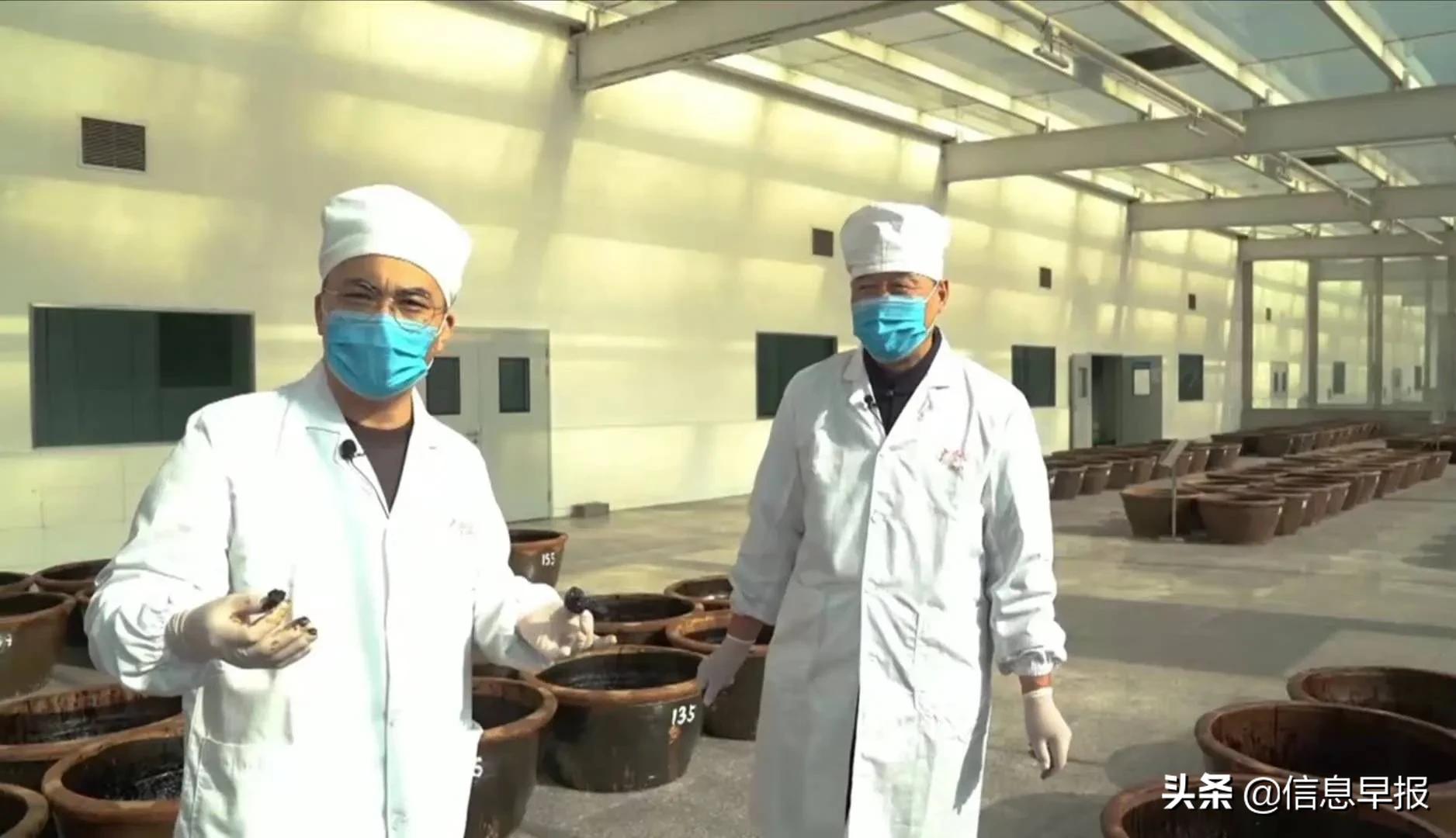 乐仁堂走进广誉远，解开国家级保密处方背后的秘密