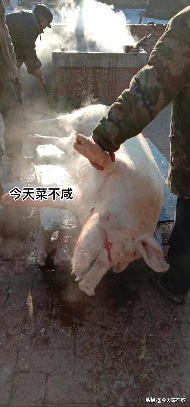 杀猪菜是东北饮食文化的传承,揭秘东北杀猪菜的文化密码