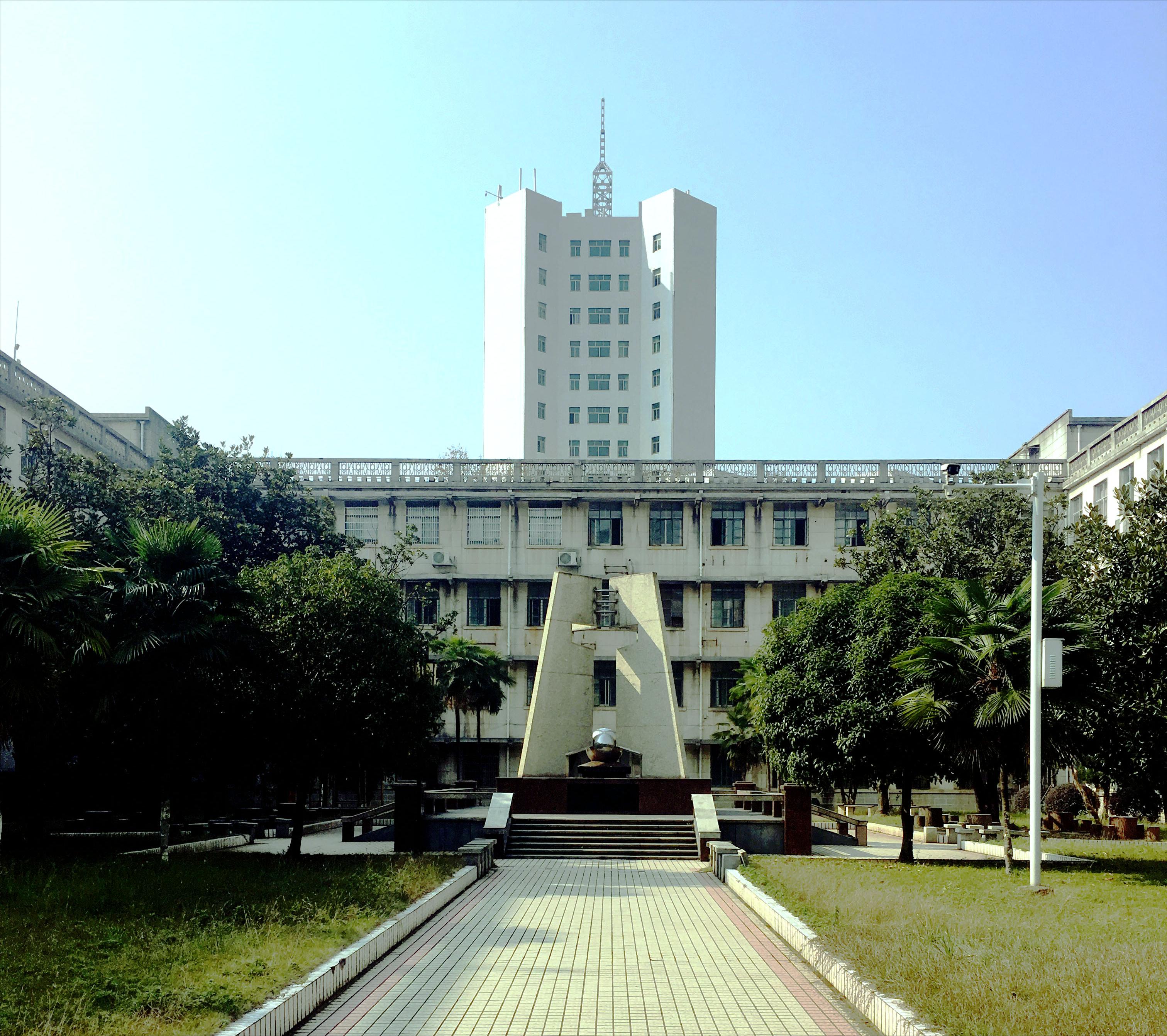 香樟往事,香樟往事电子版