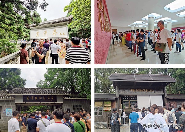 中信红木最新排名,中信红木官网