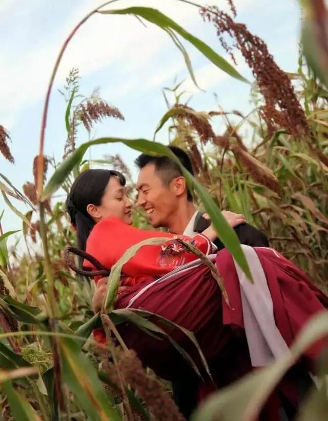 高粱全世界都有吗,高粱为何如今在中国很少见了