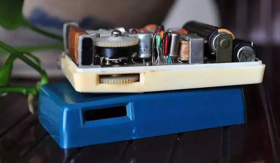 丁磊养猪的10个秘诀,网易创始人兼ceo丁磊爱好养猪