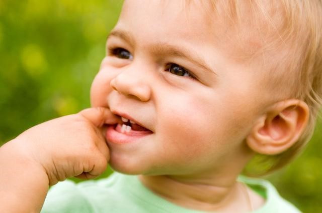 五月宝宝啃咬玩具要不要干预,五个月的宝宝咬玩具咬到发脾气