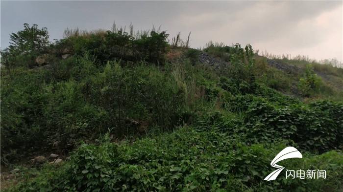 记者举报尾矿库10分钟遭举报后续,记者举报电话泄露后续