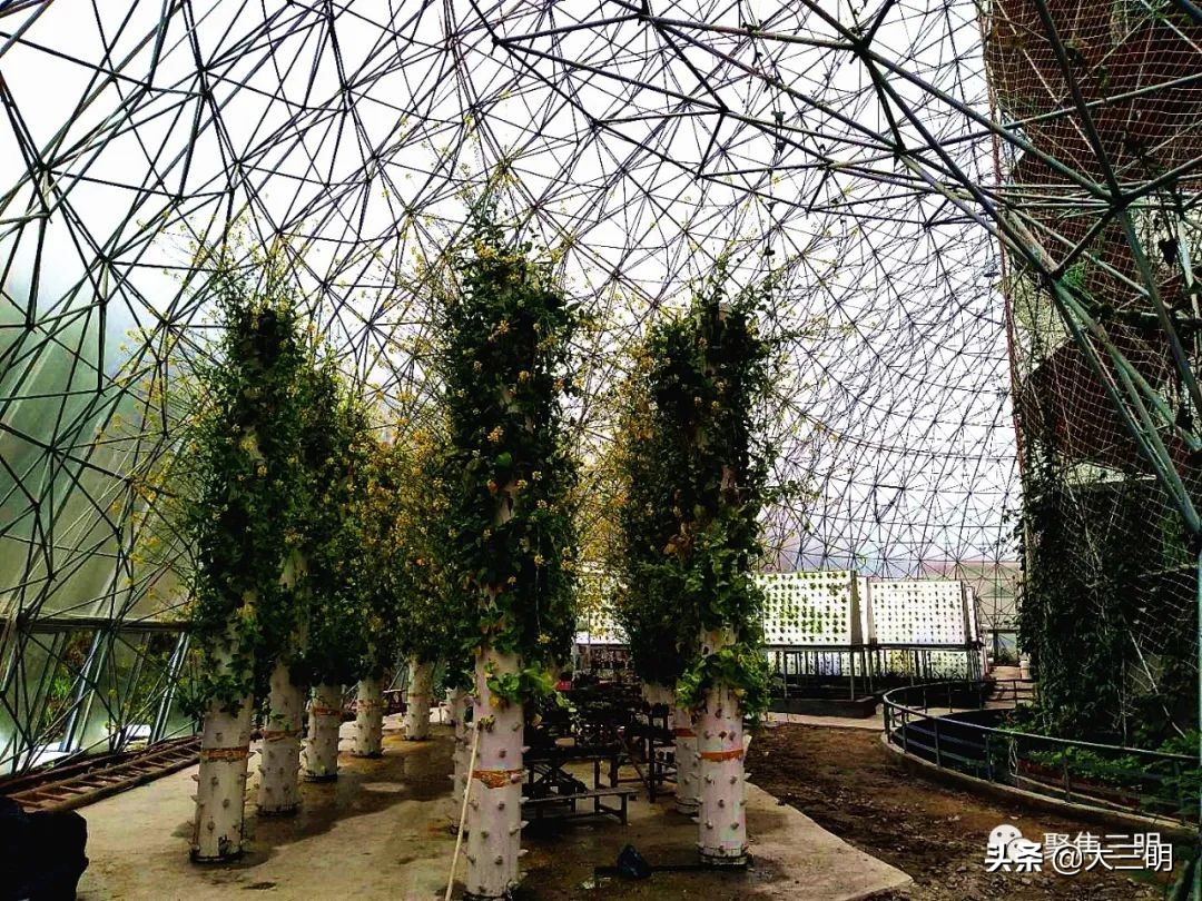 中国最美三明旅游线路,中国绿都泰宁最氧三明