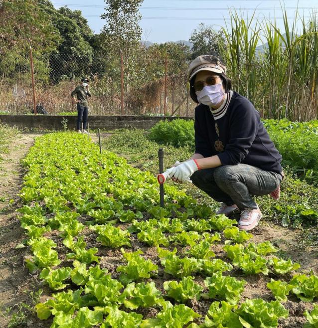 汪明荃的鞋子,汪明荃出席活动照