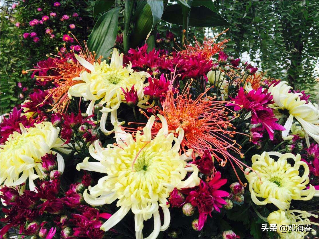 带你游开封的清明上河园,最新开封清明上河园旅游攻略