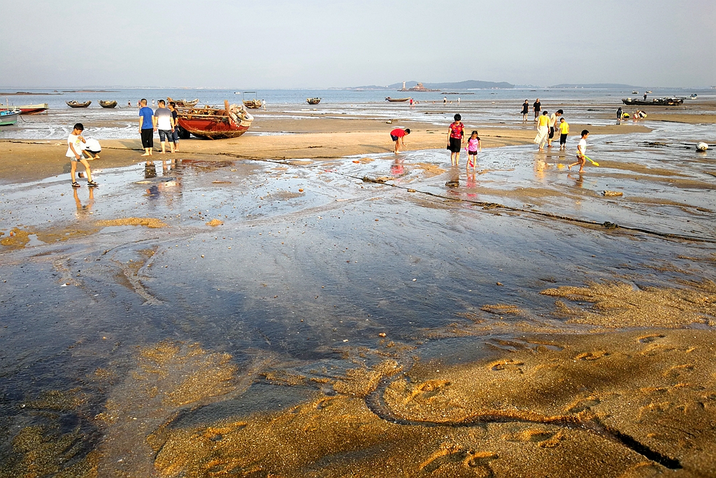 大连游玩抓螃蟹,小众海边亲子游赶海抓螃蟹