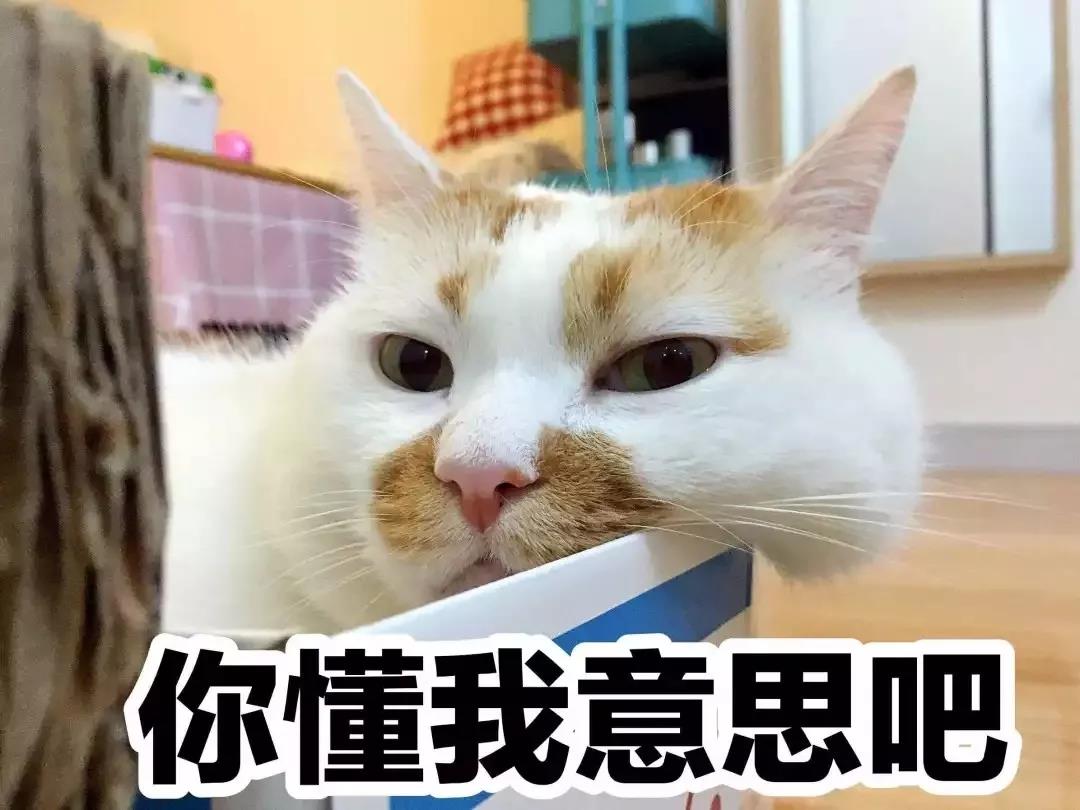 信用卡提额的风控机理,信用卡降额每天坚持做三件事