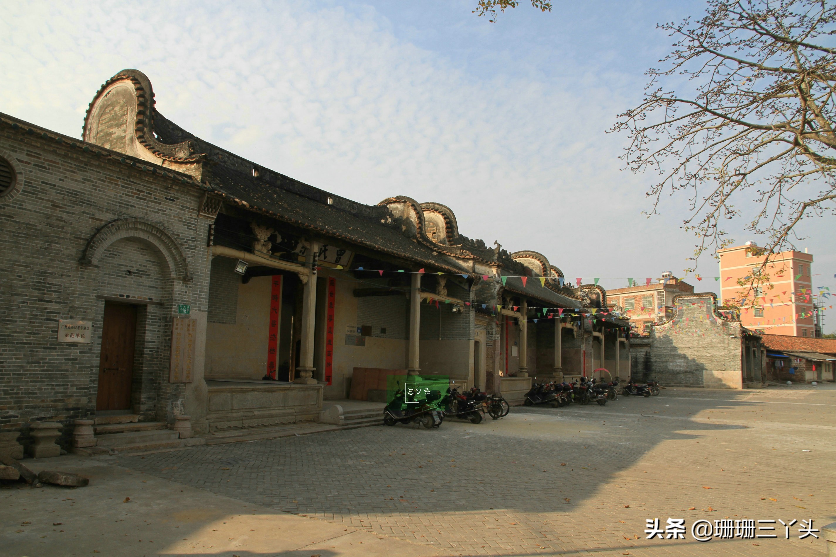 广州春季赏油菜花的地方,广州绝美油菜花海