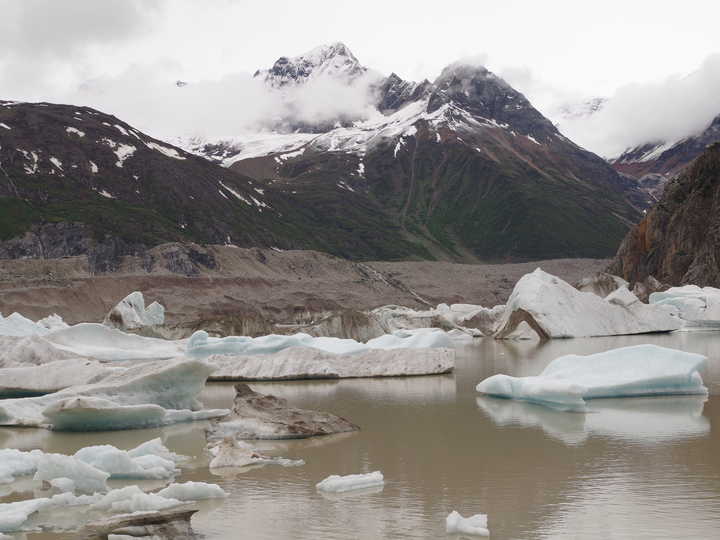 王小花的全部作品,王小花攻略