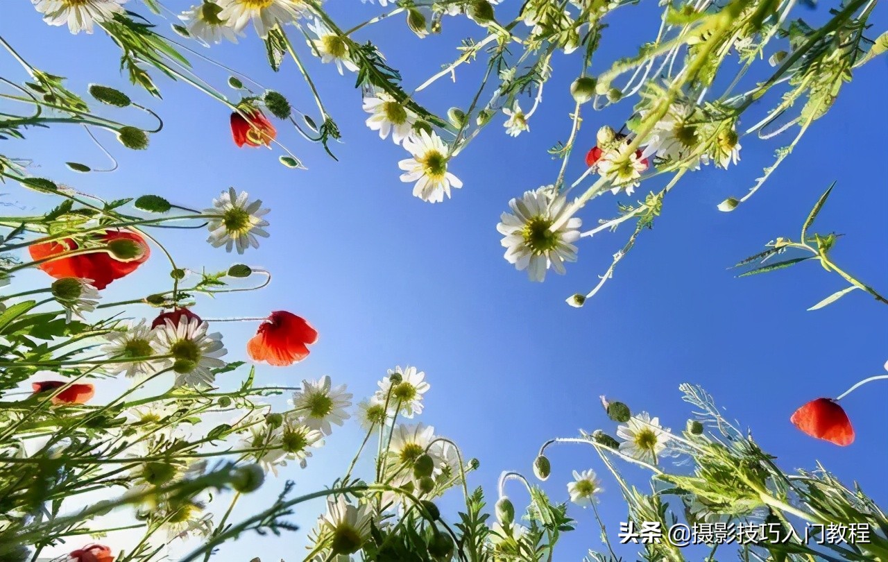 相机广角镜头怎么拍照好看,拍照技巧手机广角