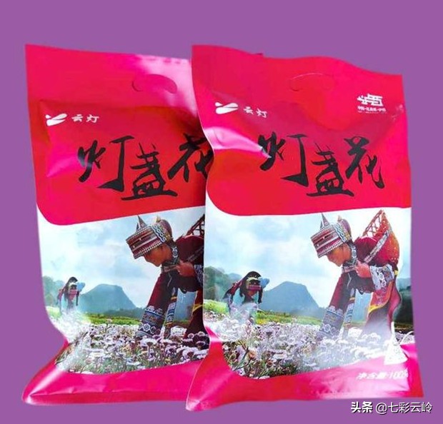 “云南科技扶贫百名县长直播”泸西：春风十里，不如在这里遇见你