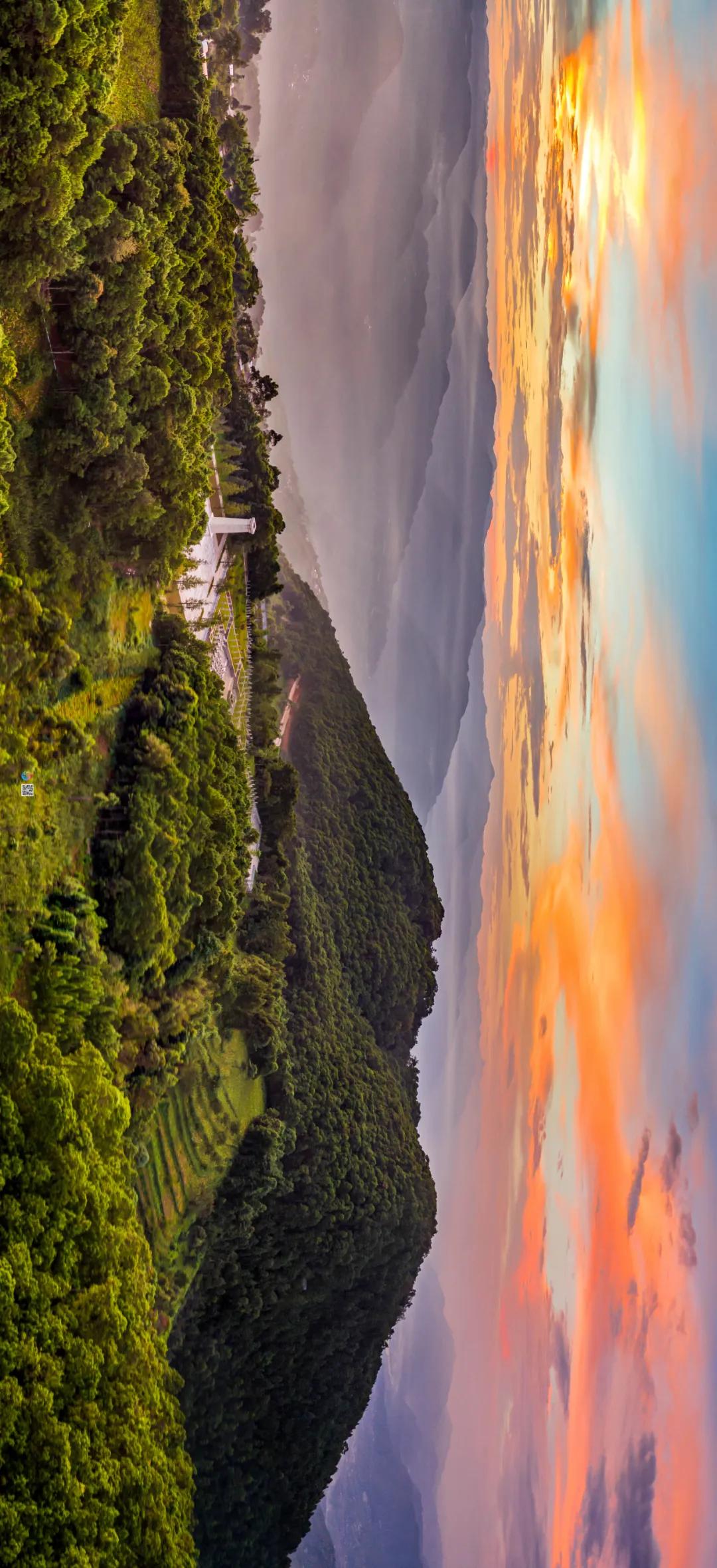 这是一个充满生机的公园怎么说,这是一个充满生机的国度朗诵