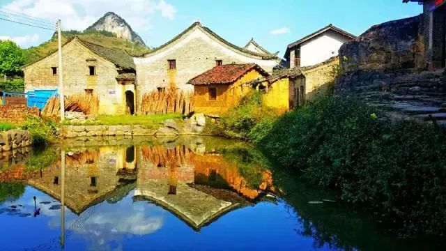 娓呰繙杩炲窞绾㈡灚,杩炲窞楂樺北绾㈡灚