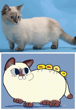 朋友圈九宫格喜感视频,开心到模糊的搞笑动图