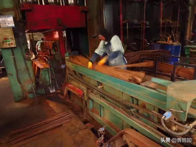 竹子怎么变异成龟甲竹,看竹子挖笋技巧