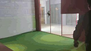 室外遛娃推荐淘气堡,遛娃室内儿童游乐项目