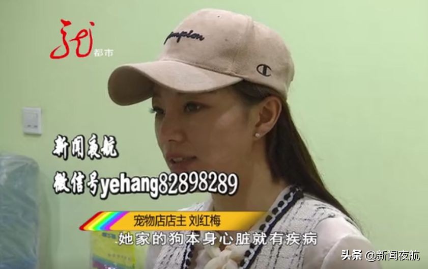 这俩人带宠物狗到处打疫苗，打完疫苗狗就死亡！咋回事？哈尔滨多家宠物店都见过他们