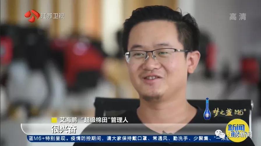 棉田种植方式,两个人挑战3000亩新疆棉田