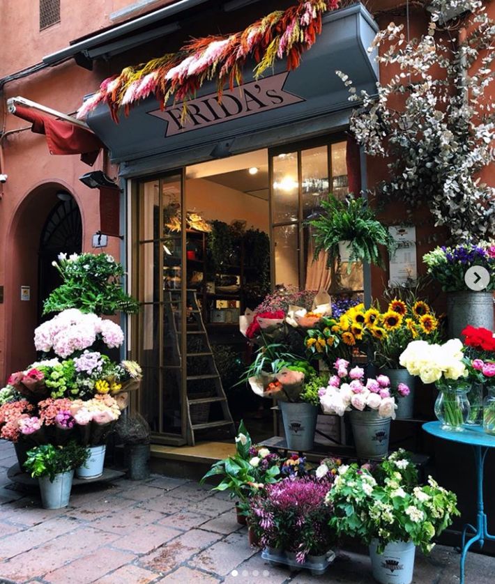 开花店的十大忠告,开花店的人现在都怎么样了