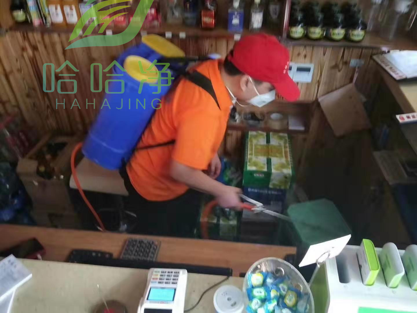 宝山区学校灭蟑螂,重庆街道灭蟑螂公司