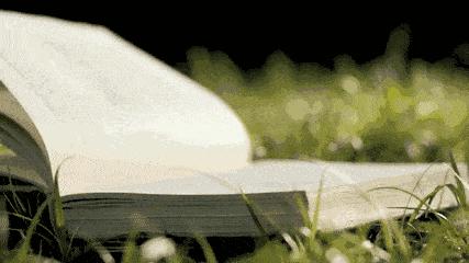 全职妈妈做一个合格保姆,一位保姆的逆袭