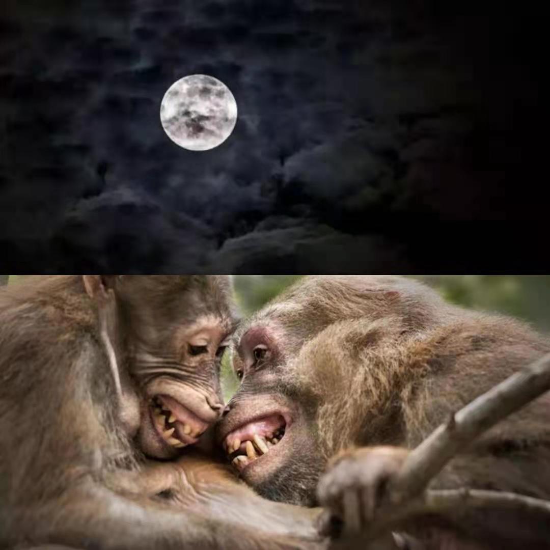 足球江湖26集大结局,足球江湖第二十七集