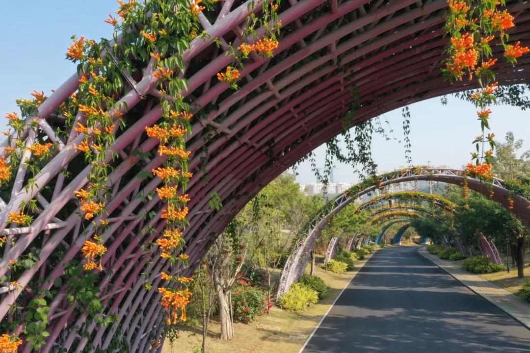 南宁马拉松路线图最新图,南宁半程马拉松路线图