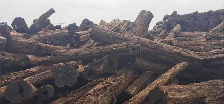 过年送礼的学问,春节送礼这4类最好别选