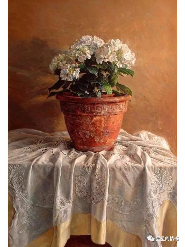 星星的情书2019年,星星的情书星座运势