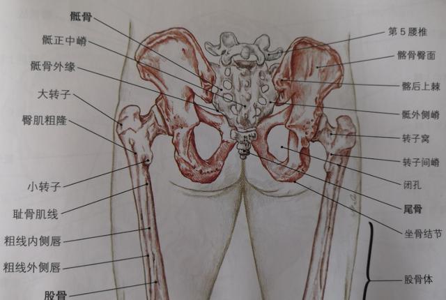 冰冷的世界感受一丝温暖,冰冷的世界有一丝温暖