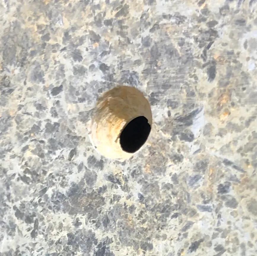 你所认识的红缨枪头其实有着更深远的文化～玉说青圭礼东方