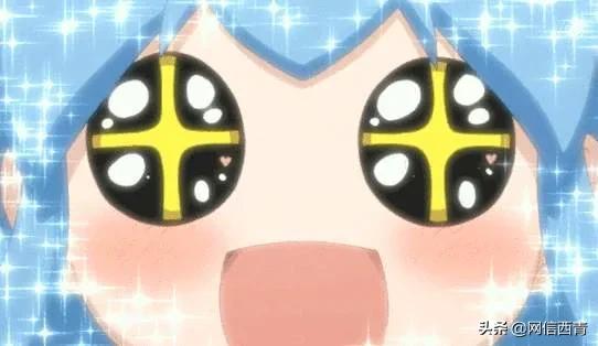 天津新开放的公园,天津水西公园现在恢复开放了吗