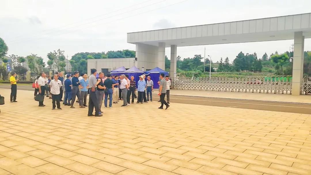 岳阳县曲赋协会在本县城南小学开展采风活动