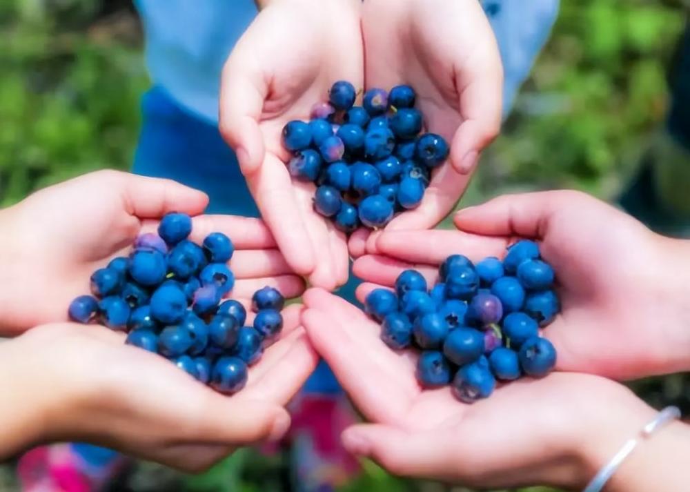 孩子聪不聪明从三点能看出来,孩子聪不聪明看得出来吗